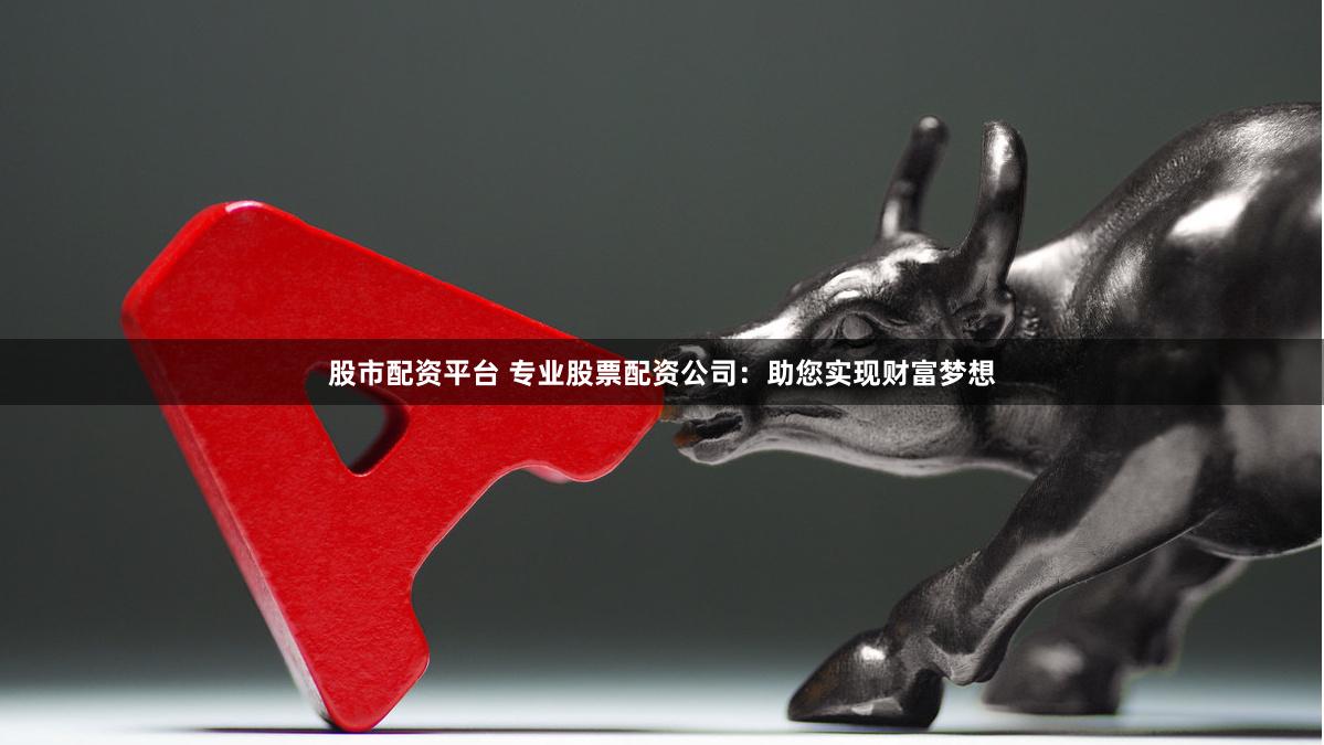 股市配资平台 专业股票配资公司：助您实现财富梦想